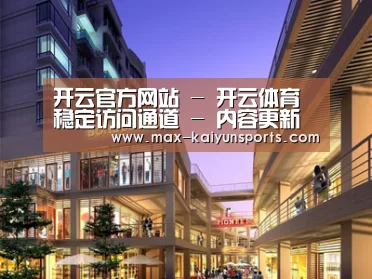 案例展示一(图1)