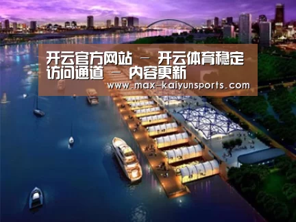 案例展示八