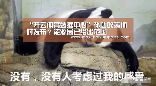 “开云体育数据中心”补贴政策何时发布?能源局已给出范围(图2) 开云体育
