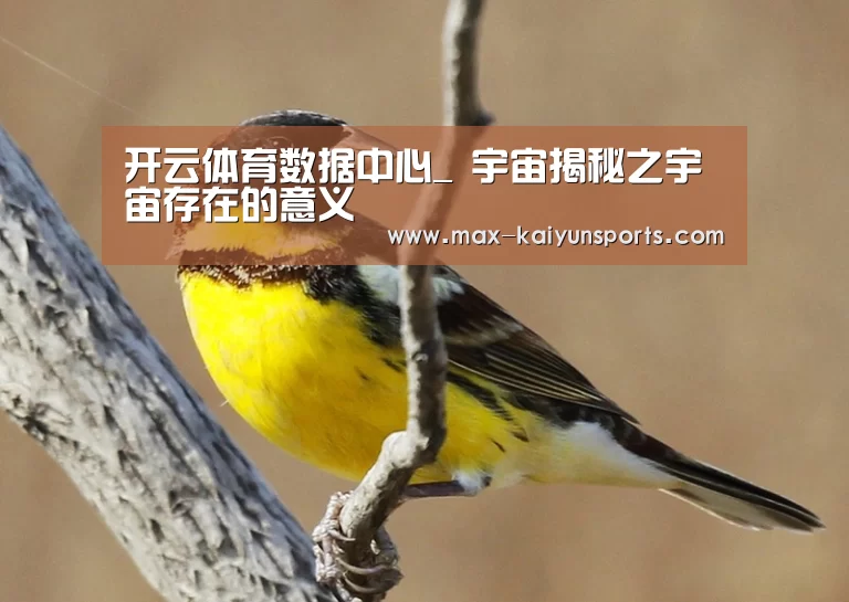 开云体育
