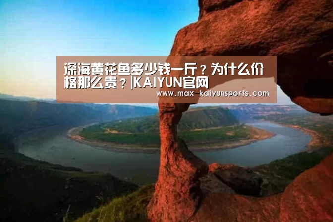 KAIYUN官网