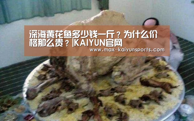 KAIYUN官网