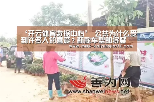 开云入口
