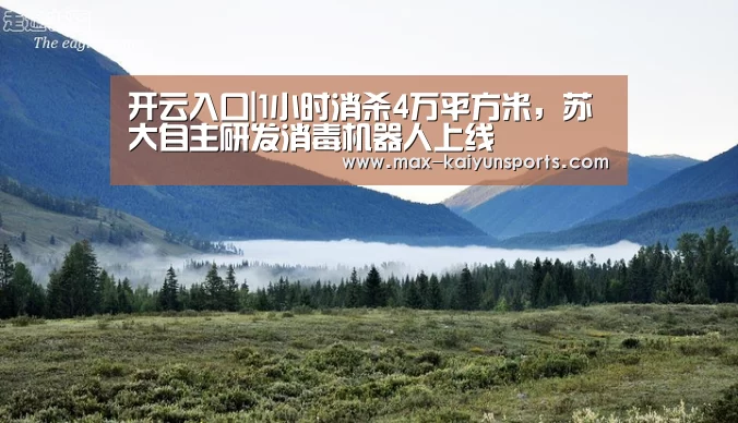 开云入口