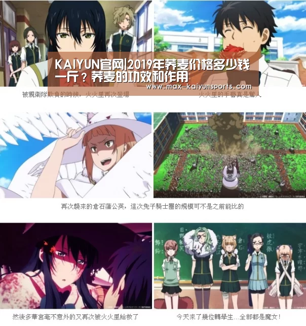 开云入口