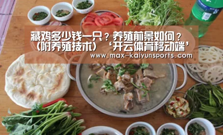 开云体育数据中心