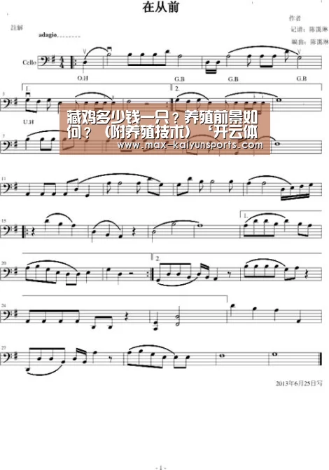 开云体育移动端