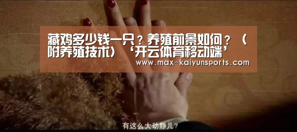 开云体育数据中心