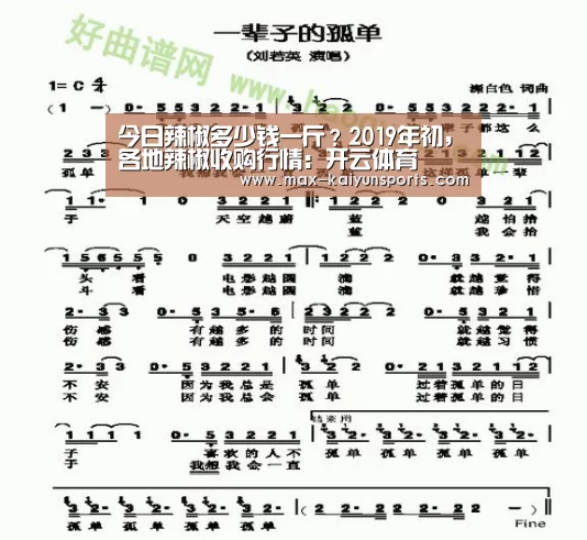 开云体育
