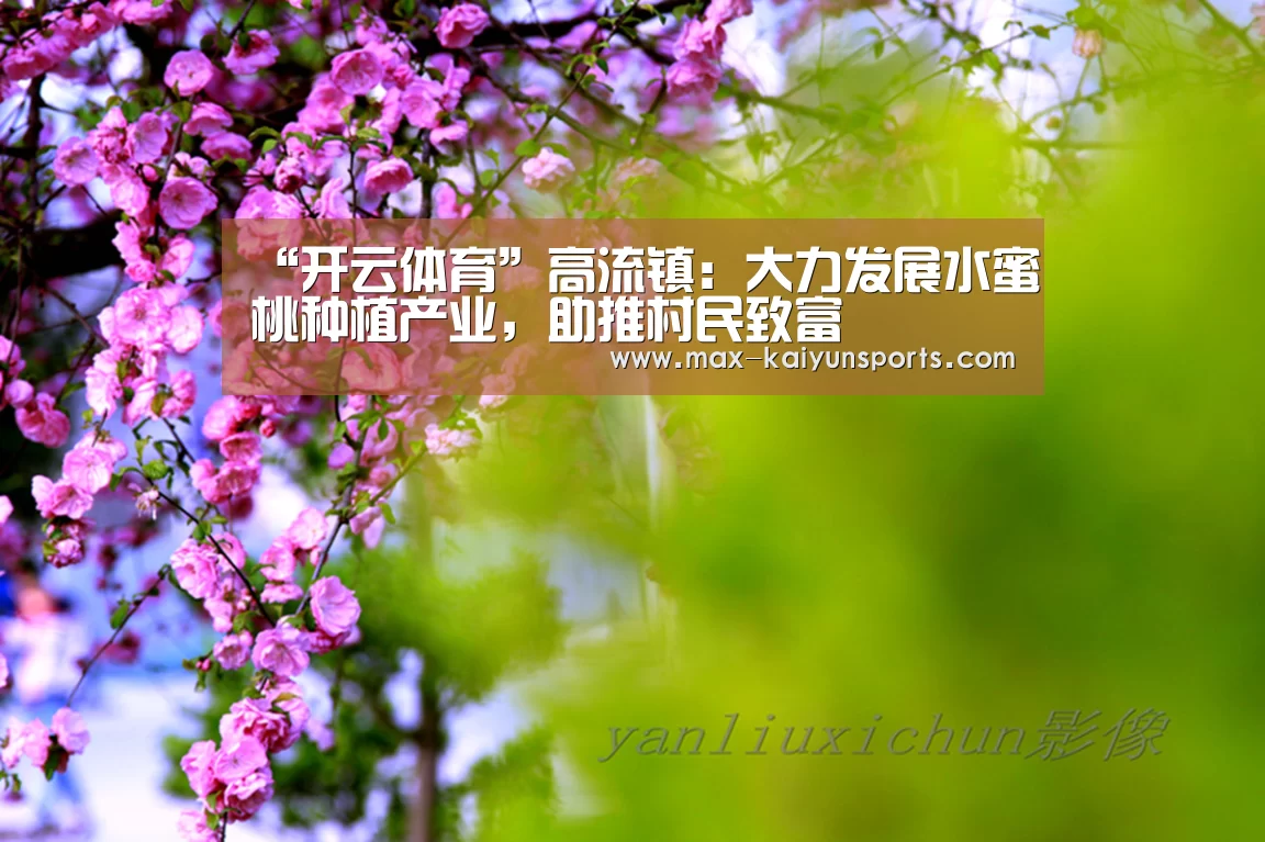 “开云体育”高流镇:大力发展水蜜桃种植产业,助推村民致富(图2) KAIYUN官网