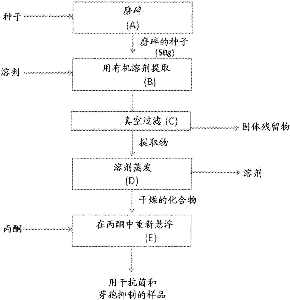 开云体育移动端