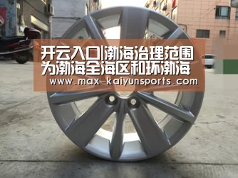 开云体育移动端
